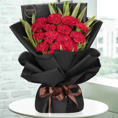 Crimson Elegance Carnations by RedHeart