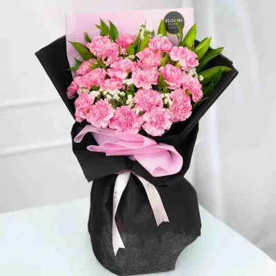 Soft Blush Carnations by RedHeart