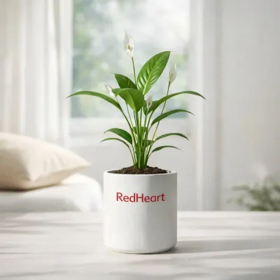 Pure Mist Peace Lily by RedHeart