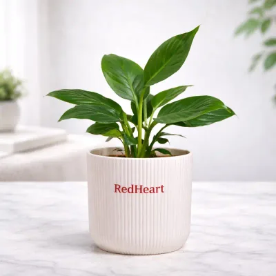 Blush Rib Peace Lily by RedHeart