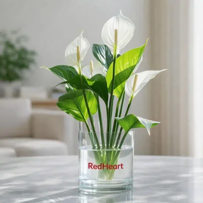 Peace Lily Water Arrangement by RedHeart