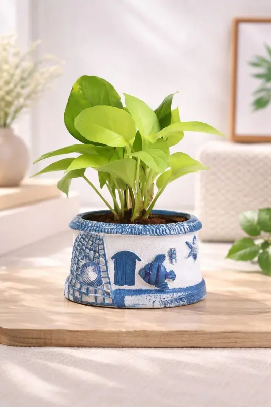 Ocean-Glow-Neon-Money-Plant
