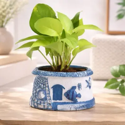 Ocean-Glow-Neon-Money-Plant by RedHeart