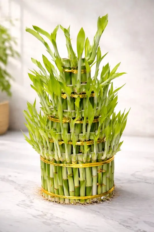 5 Layer Lucky Bamboo Tower