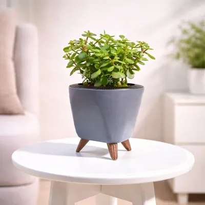 Slate Tripod Dwarf Jade by RedHeart