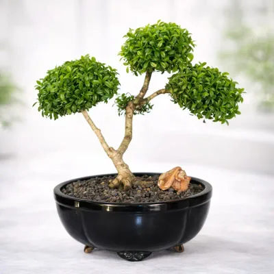 Nature Sculpt Bonsai by RedHeart