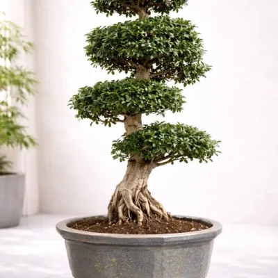 Living Sculpture Bonsai by RedHeart