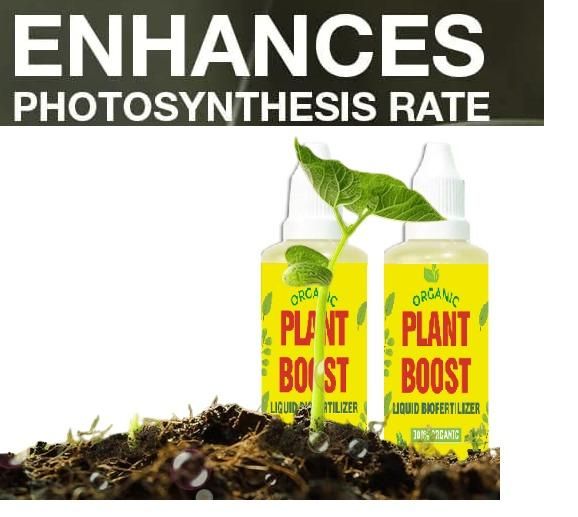 Deliver Organic Plant Booster – Pack of 2 by Redheart