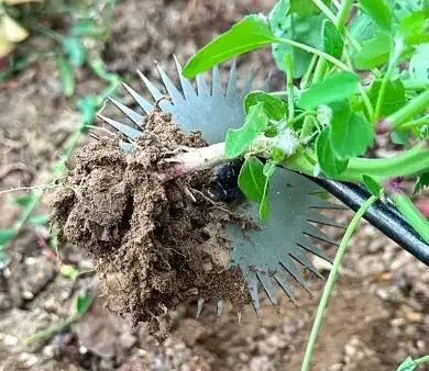 Heavy Duty Forged Metal Weed Crusher image by Redheart