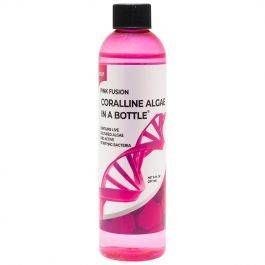 AlgaeBarn Coralline Algae in a Bottle: Pink Fusion