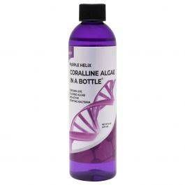 AlgaeBarn Coralline Algae in a Bottle: Purple Helix