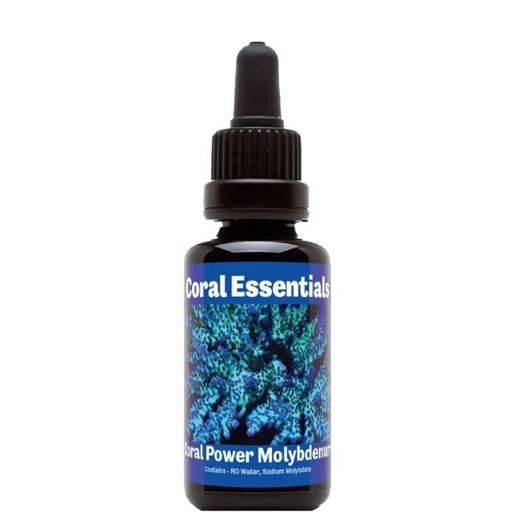 Coral Essentials Coral Power Molybdenum