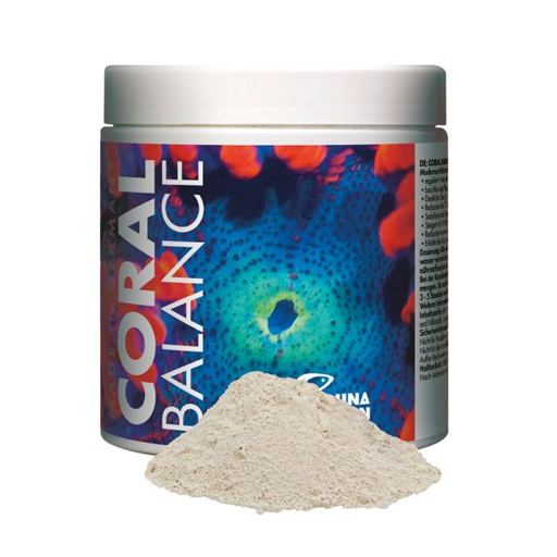 Fauna Marin Coral Balance