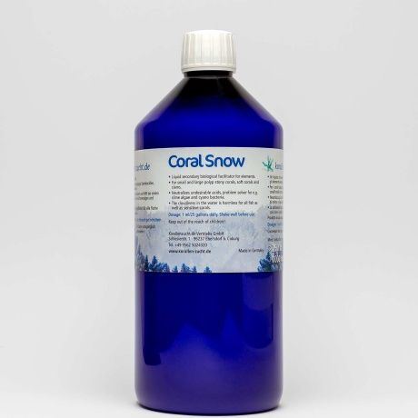 Korallen-Zucht Coral Snow