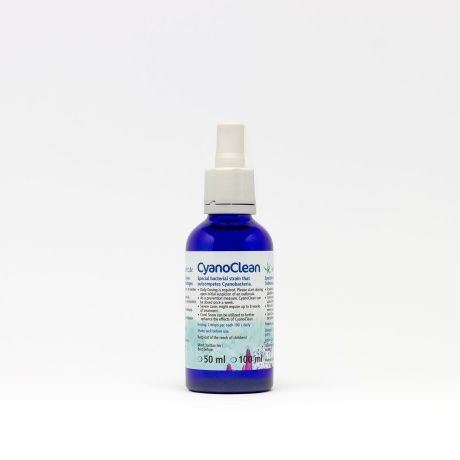 Korallen-Zucht CyanoClean