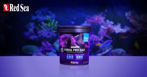 Red Sea Coral Pro Salt