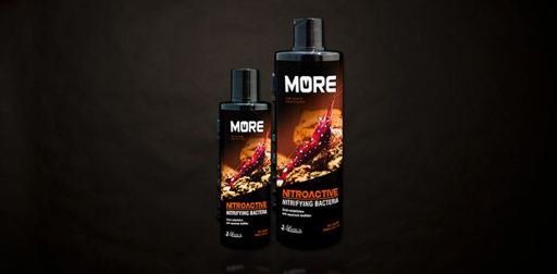 SL-Aqua MORE Nitroactive (Sulawesi Shrimp)