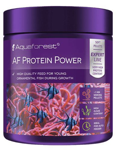 AF Protein Power