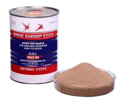 Black Brine Shrimp Flakes