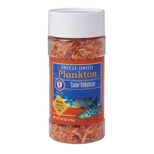 Freeze-Dried Plankton