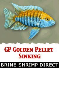 GP Golden Pellet - Sinking