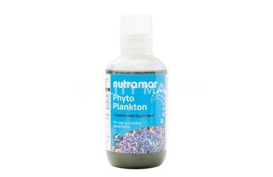 Liquid Feed Phytoplankton