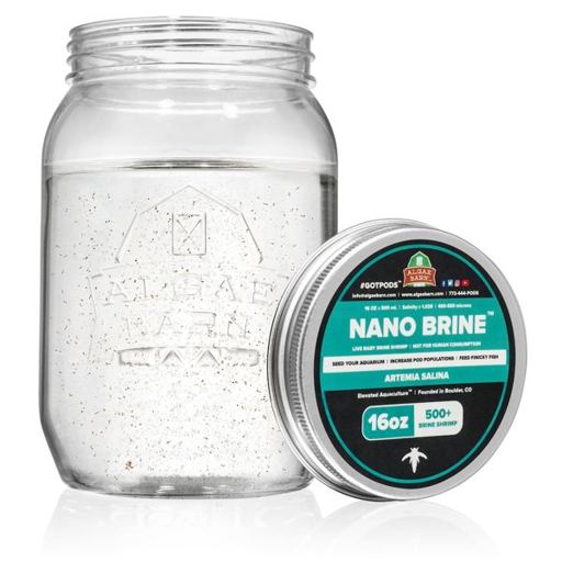 Nano Brine Shrimp