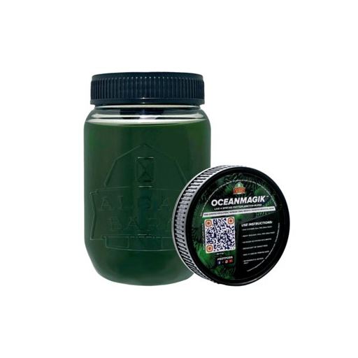 OceanMagik Live Phytoplankton
