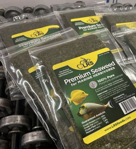 Premium Seaweed (Nori)