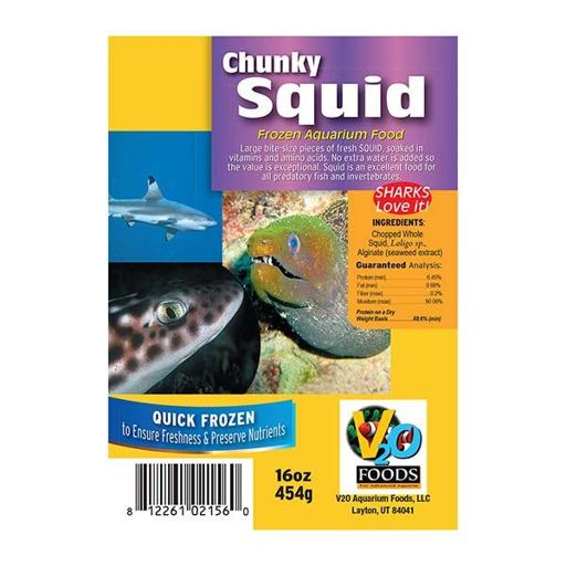Squid Frozen Food
