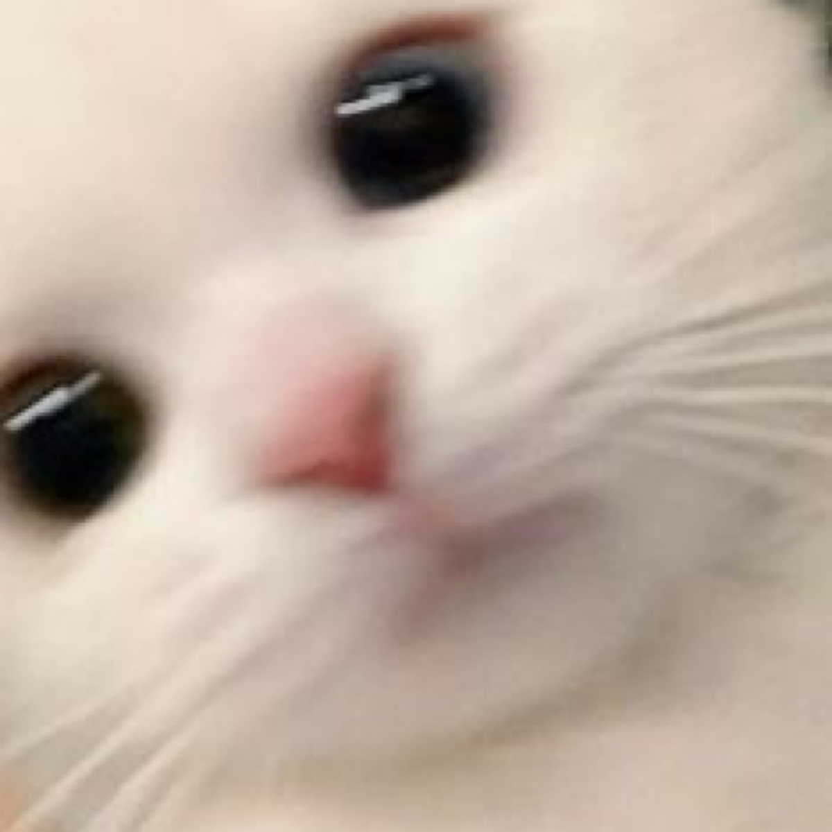 박도윤