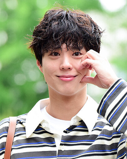 보검