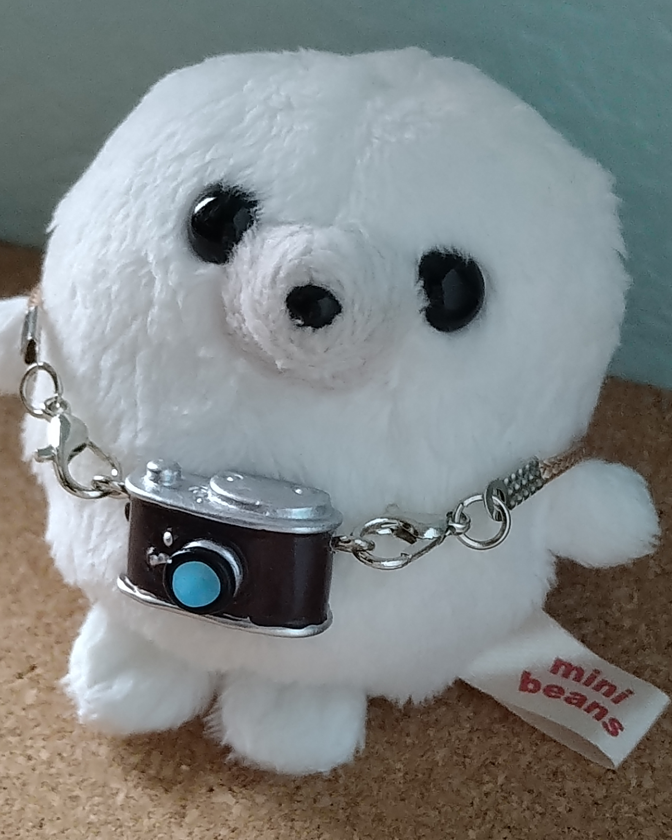 ふわわ