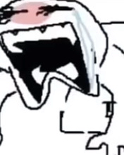 게스트