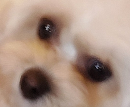 한성규