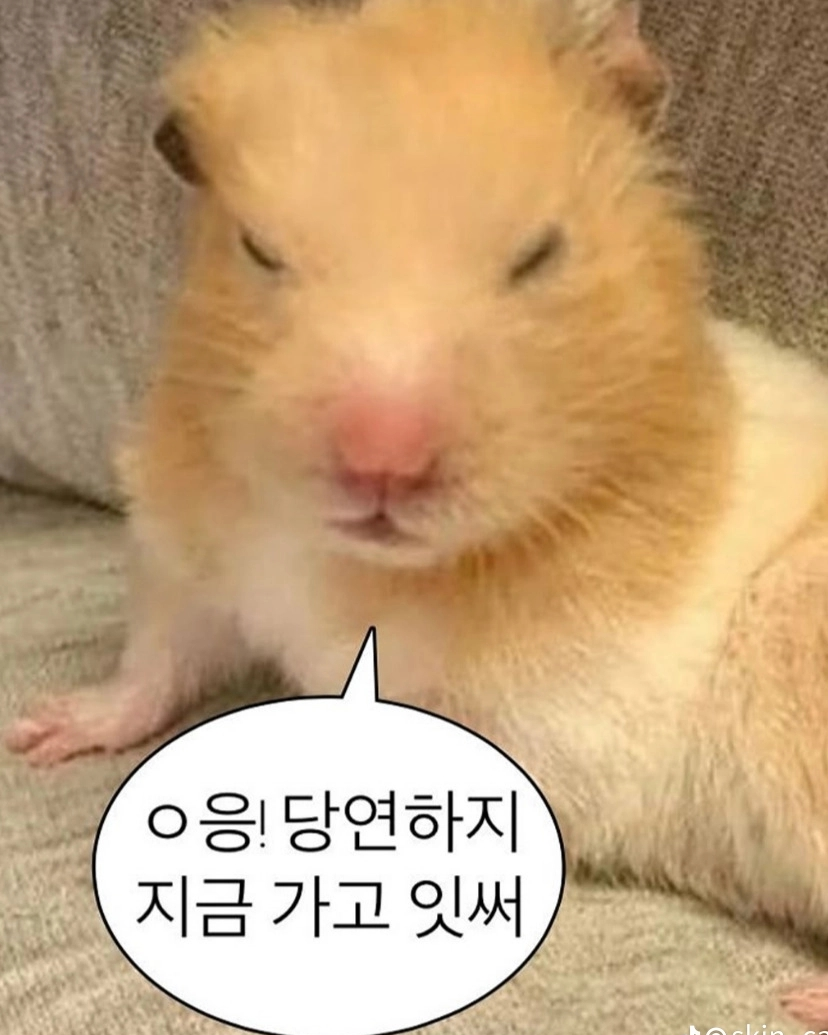 배건우