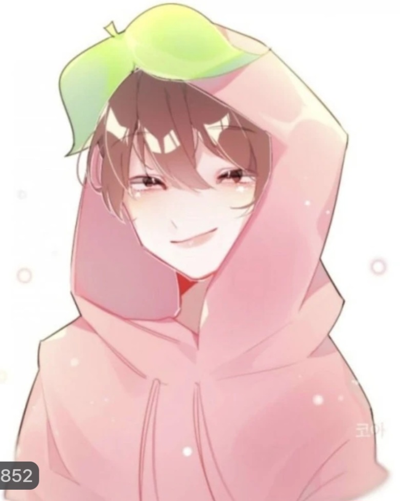 코아