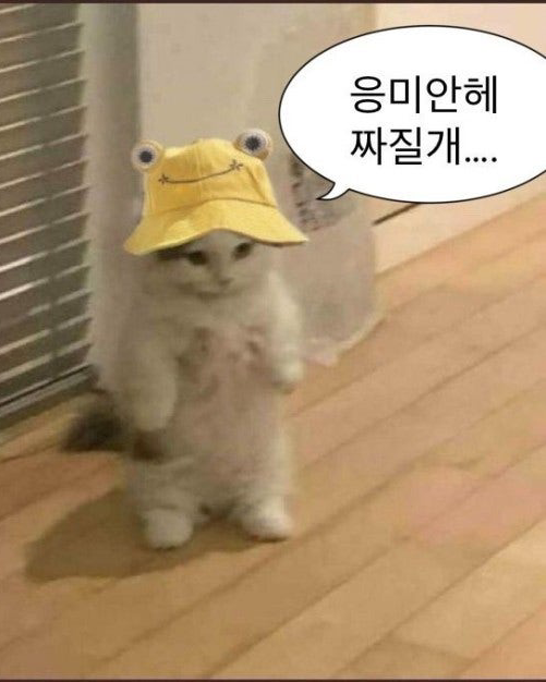 초능력 고등학교🔮