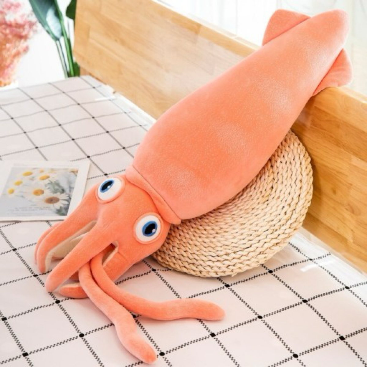 오징어씨