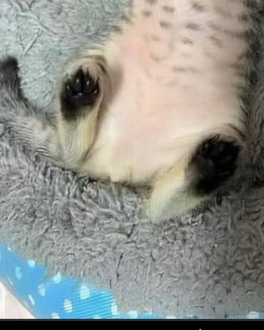 後藤　敦