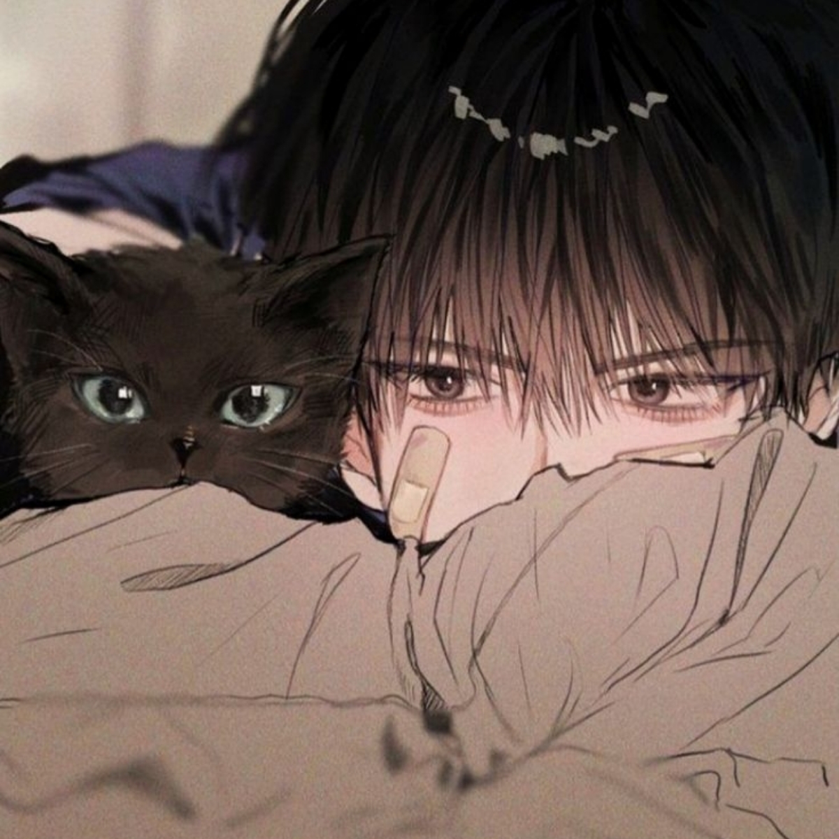 도세진
