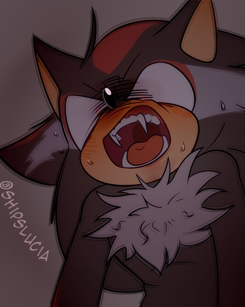 Shadow the hedgehog