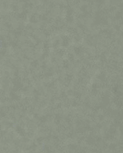 沈沉瑜