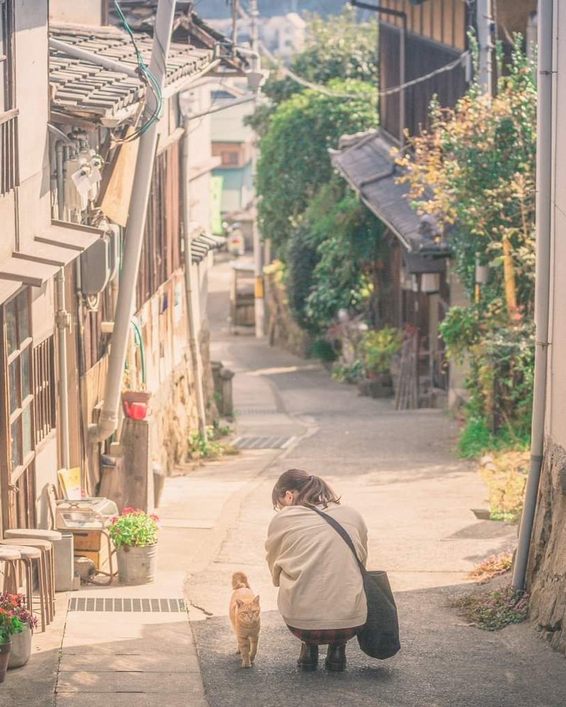 Trùm cuối