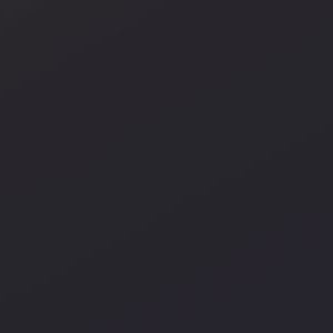 아코가 레이