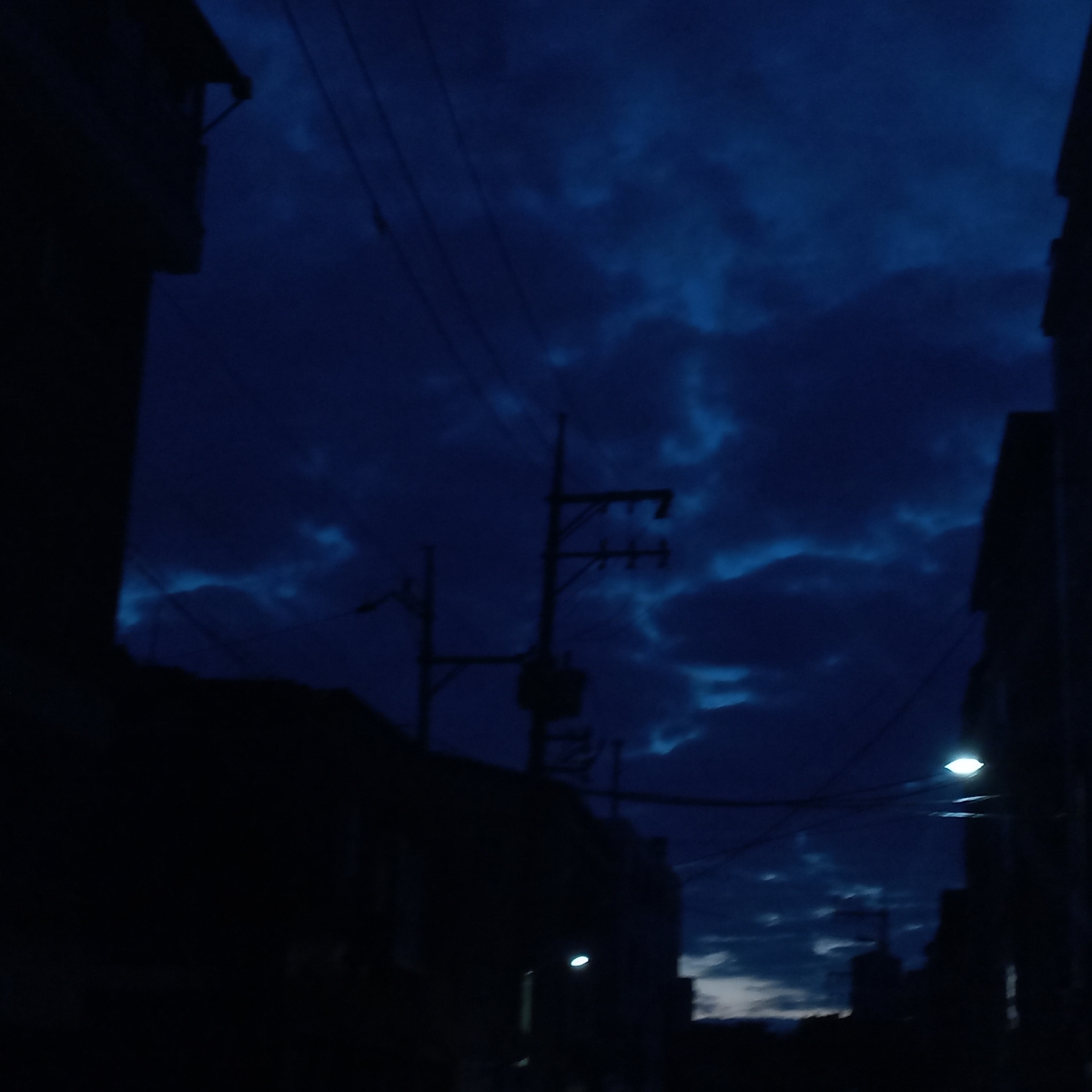아델린 카르벨