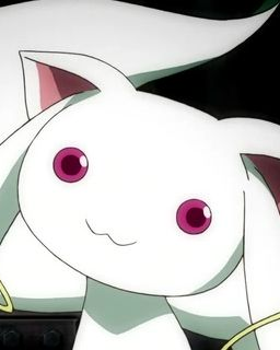 큐베