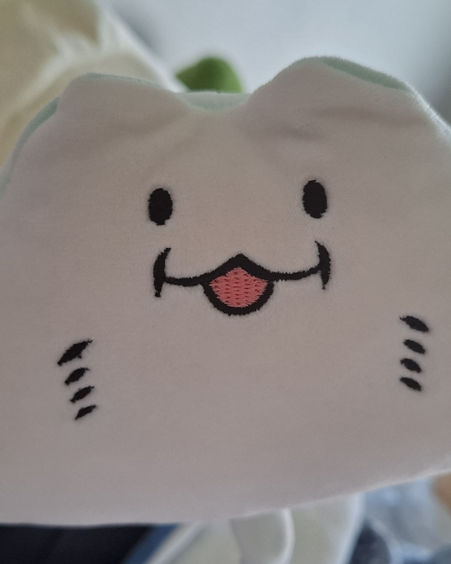 앙냥이