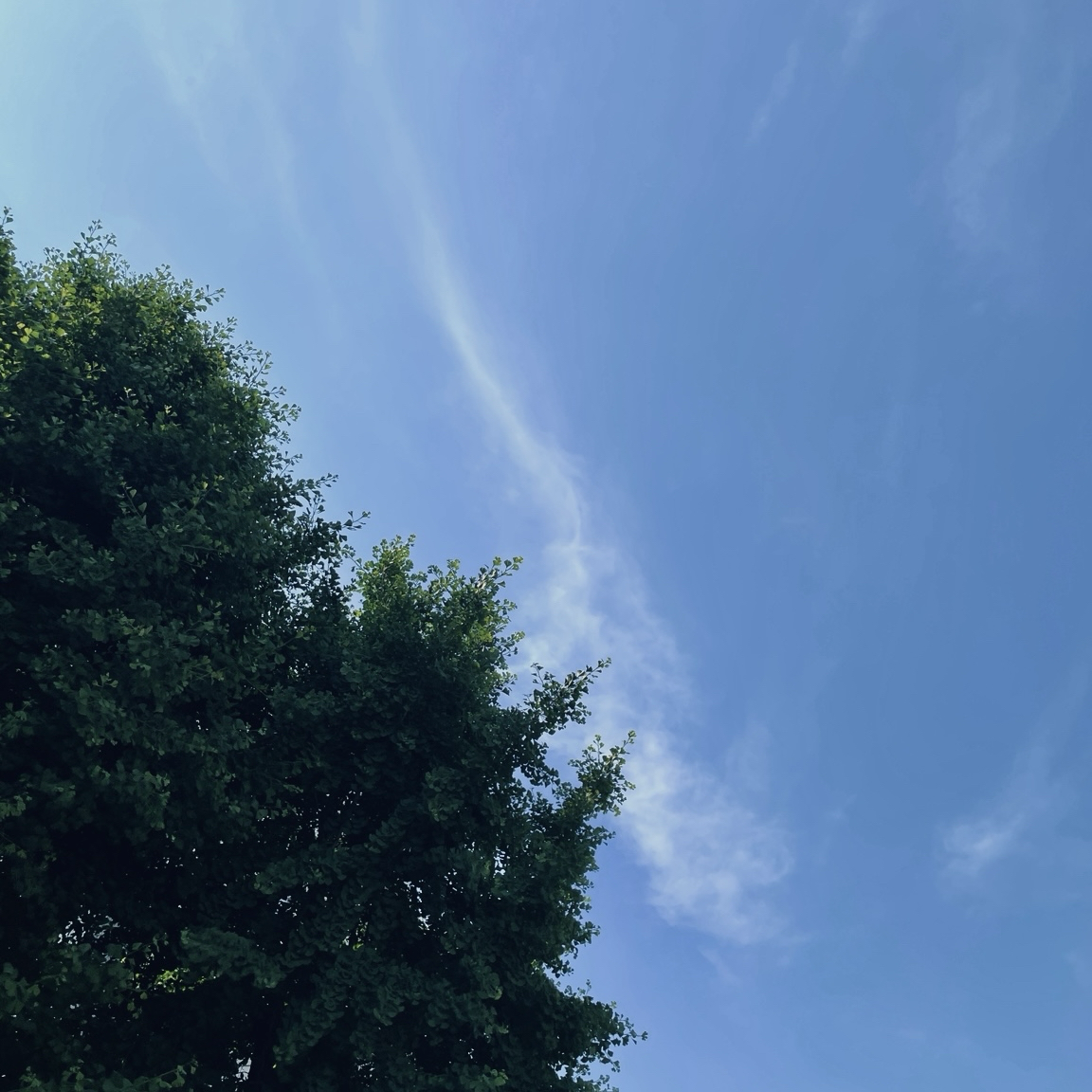 허유안