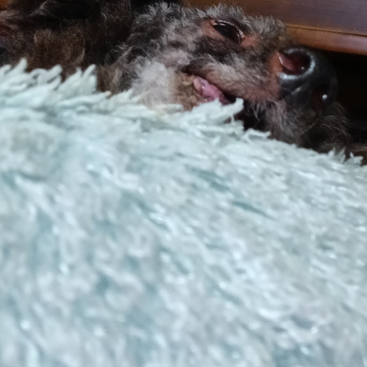 남친.